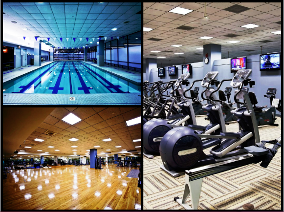 Central Park of Lisle Fitness Center: Pool, treadmills with televisions, and recreation room